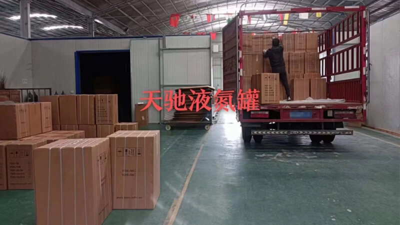 運往俄羅斯的www.桃色av嫩草.com液氮(dàn)罐今日發貨