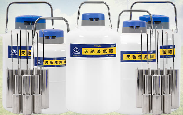 10升液氮罐能（néng）裝多少（shǎo）支凍精？