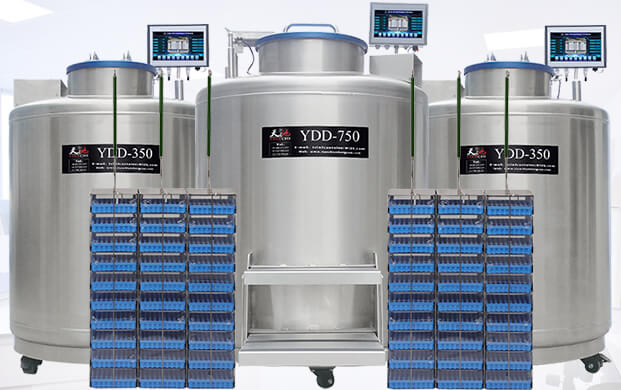 廣口液氮罐ydd儲存幹細胞的方式(shì)