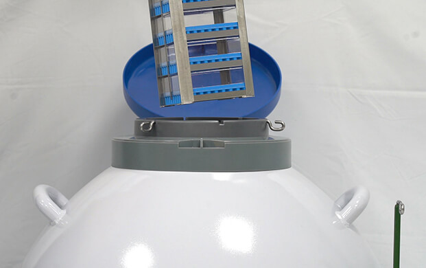 細菌可（kě）以凍在實驗室液氮罐裏嗎？