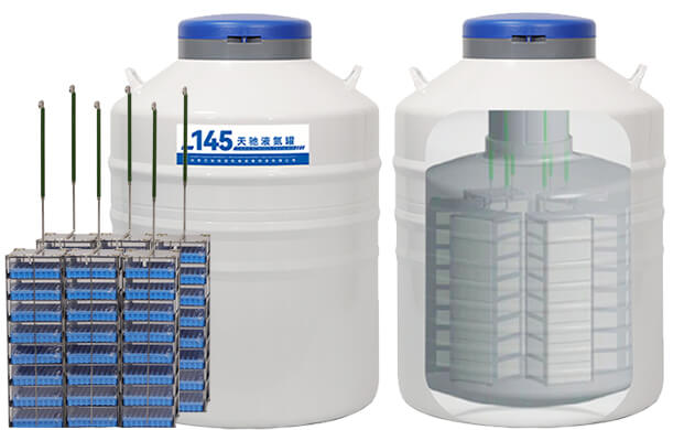 液氮罐（guàn）構造全解析（xī）